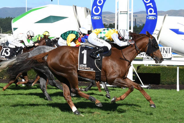 Shadows Cast powers home to capture the Listed Bramco Granite & Marble Flying Stakes (1400m) at Awapuni Photo Credit: Race Images 
