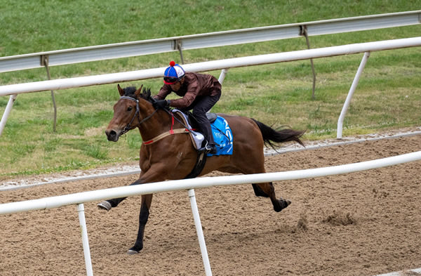 Shaal colt from Tuusula clocked 10.36 seconds.