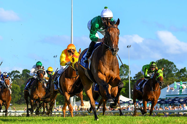 Shailailed winning the MM Class 6 Plate - image Magic Millions