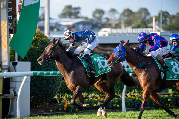Shalwa fends off stablemate Krone image Racing Queensland