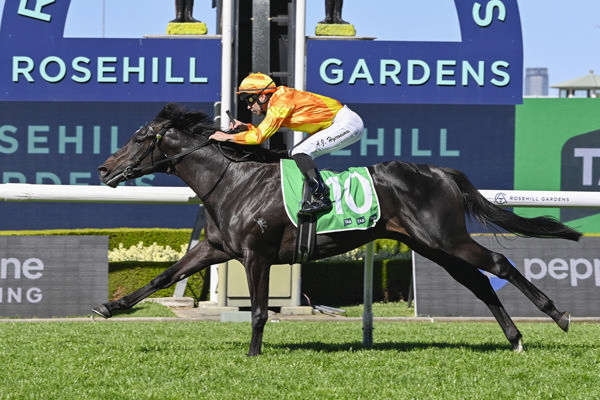 Shangri La Boy wins in style - image Bradley Photography