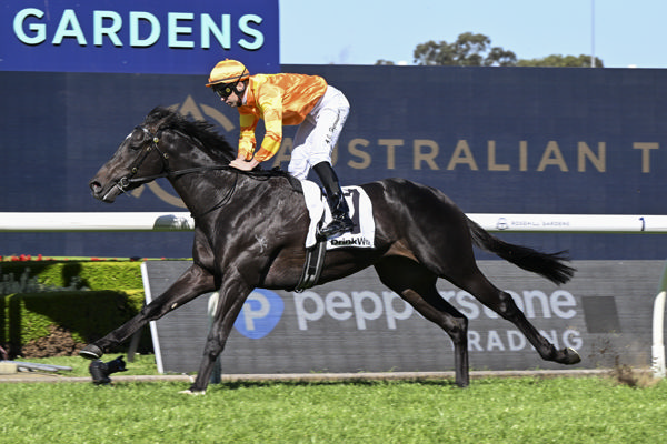 Shangri La Boy bolts away with the G3 Gloaming Takes - image Bradley Photos 