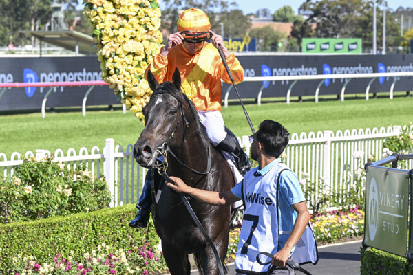 Shangri La Boy returns a G3 winner - image Bradley Photos
