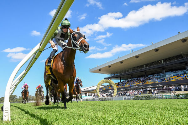 The rail is the place to be at Rosehill & you cannot get any closer than Shared Ambition (images Steve Hart)