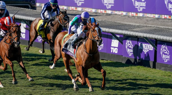 Sharing - image Breeders' Cup Twitter