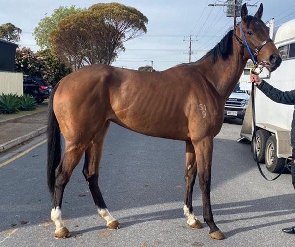 Sharma Princess from her listing in 2022.