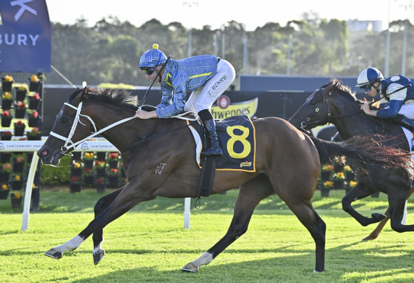 Sharon Drive wins at Canterbury on Friday - image Bradley Photography 