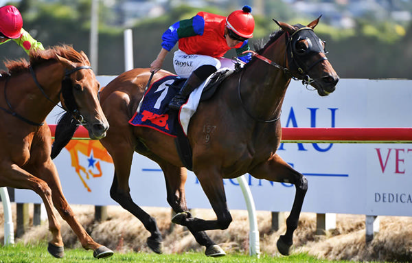 Sharp āNā Smart (inner) takes out the Gr.3 SKYCITY Hamilton Waikato Cup (2400m). Photo: Race Images - Kenton Wright