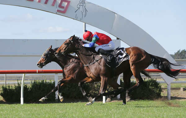 Sharp ‘N’ Smart (outer) gets the better of Waitak to win the Listed Staphanos By Deep Impact Champagne Stakes (1600m) at Pukekohe Photo Credit: Trish Dunell
