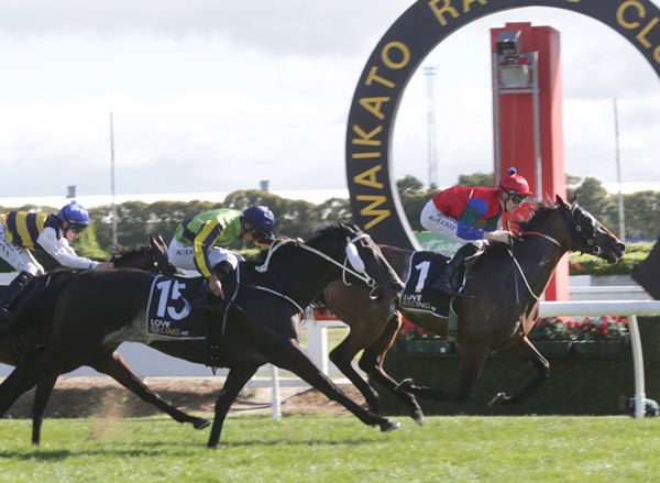 Sharp ‘N’ Smart justifies his favourites tag to claim the Gr.1 Auckland Thoroughbred Racing New Zealand Derby (2400m) Photo: Trish Dunell