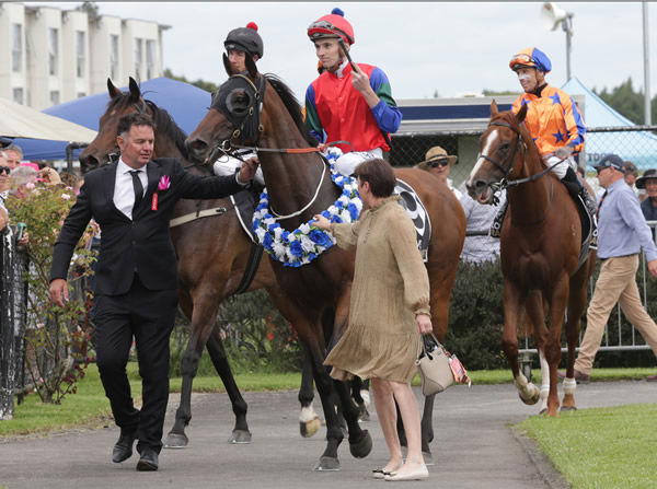 Sharp 'n' Smart is aiming towards the Melbourne Cup - image Trish Dunell