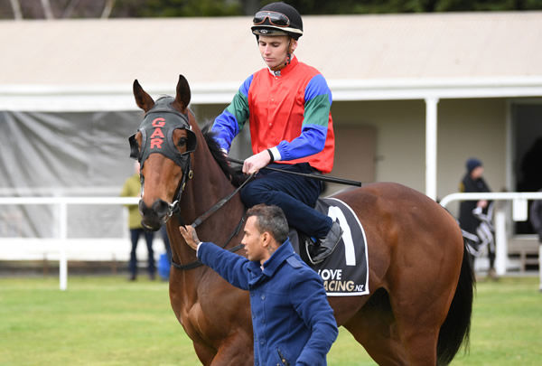 Sharp ‘N’ Smart before his trial at Taupo on Wednesday. Photo: Peter Rubery (Race Images Palmerston North)