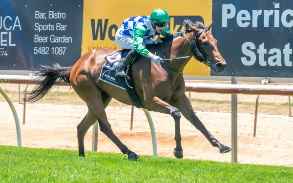 She Mogul breaks the maiden at Echuca - image Jay Town/ Racing Photos 