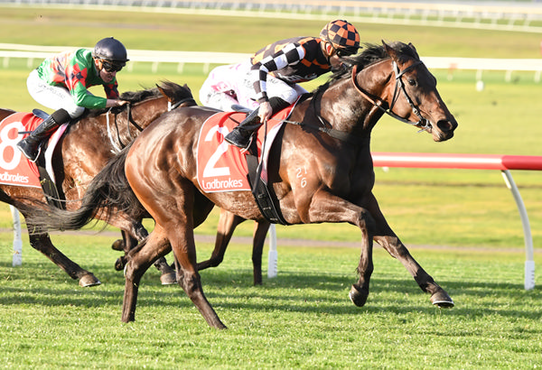 She Shao Fly was a great success story for Bennett Racing - image Racing Photos