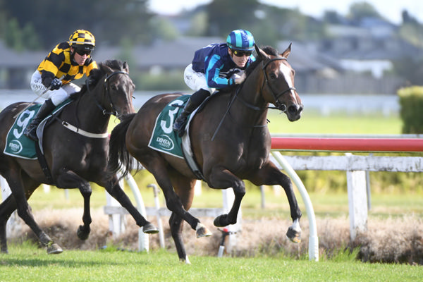 She's A Dealer will contest the Gr.2 Rich Hill Mile (1600m) at Ellerslie on New Year's Day.  Photo: Kenton Wright (Race Images)