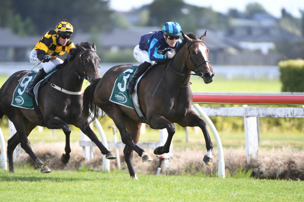 She's A Dealer winning at Te Rapa on Saturday. Photo: Kenton Wright (Race Images)