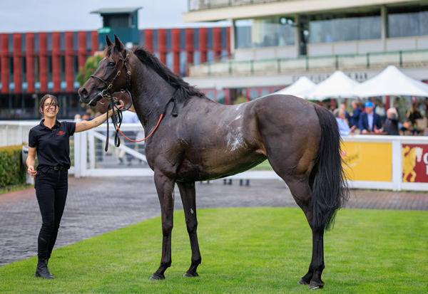 She's a beauty - image Grant Courtney