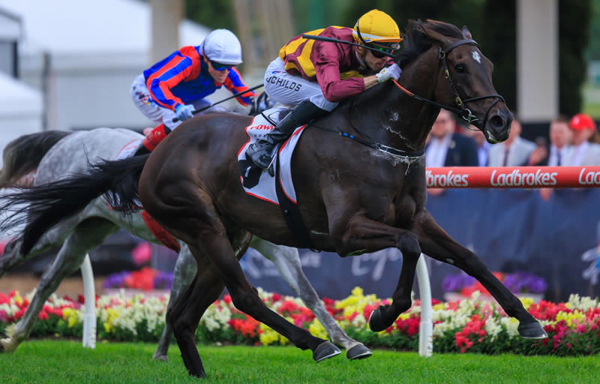 She's a Hustler wins the G3 Tesio Stakes - image Grant Courtney