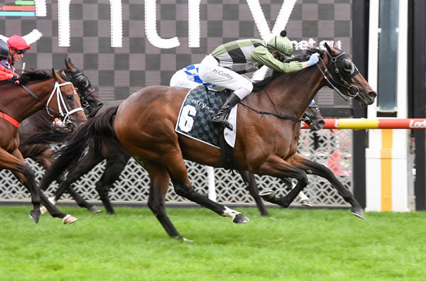 She's All Class wins the Listed Abell Stakes- image Brett Holburt / Racing Photos