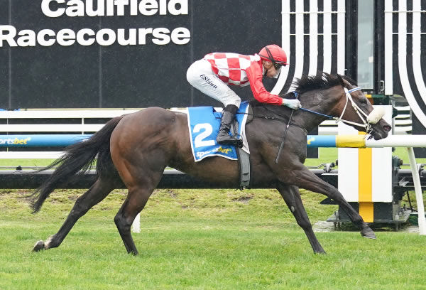 She's Got Pizzazz cruises home to win the Listed Twilight Glow Stakes - image Scott Barbour / Race Photos