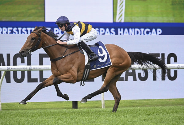 She's Unusual winning at Rosehill on Saturday.  Photo: Bradleyphotos.com.au