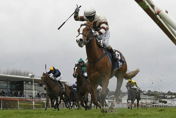 Sheez Dominant wins the Wanganui Guineas.