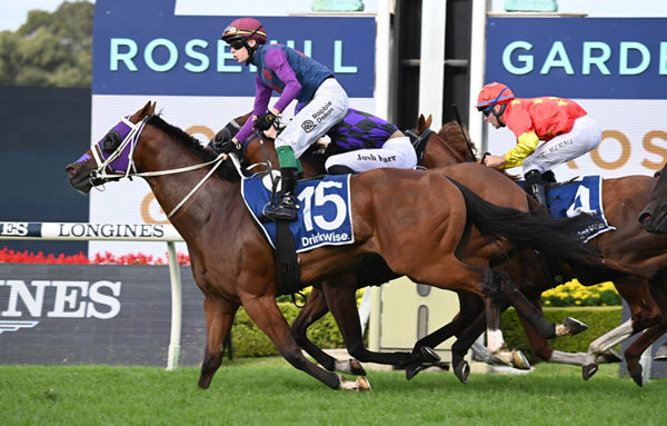 He's a G1 winner - Shelbysixtysix salutes in the G1 Galazy - image Steve Hart