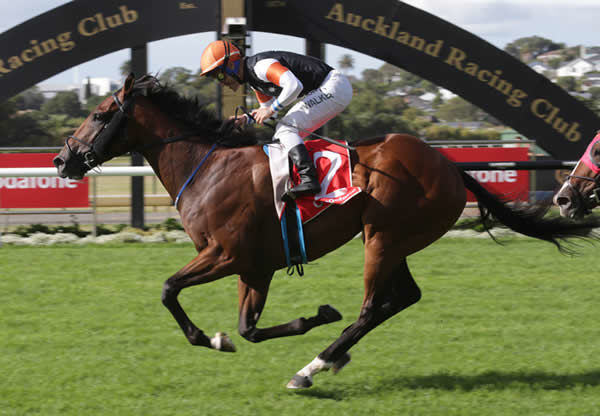 Sherwood Forest wins the NZ Derby - image Trish Dunnell 