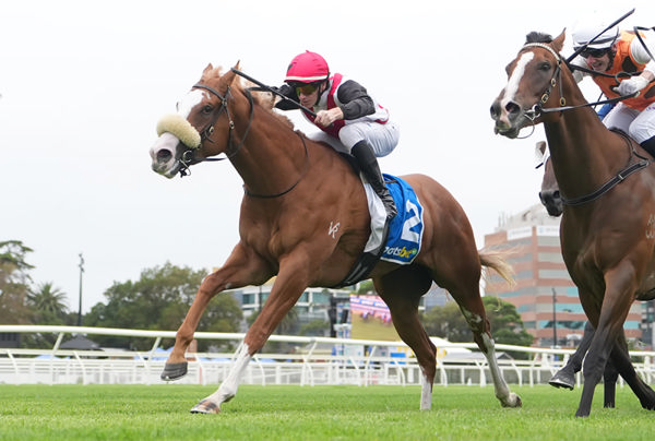 She's an Artist arrives on the line - image Scott Barbour / Racing Photos