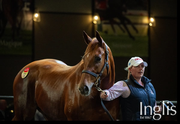 Dual G1 winner She's Extreme sold for $3.4 million to Tom Magnier.
