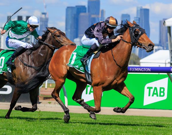 Damian Lane guides She’s Licketysplit to victory - image Grant Courtney