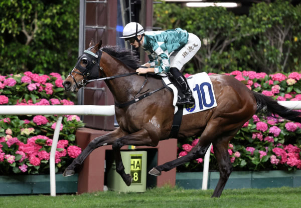 Show Respect wins easily at Happy Valley - image HKJC  