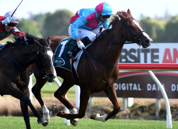 Showoroses (inner) grits her teeth and fights back to defeat Our Alley Cat in the Gr.2 Dunstan Feeds Auckland Thoroughbred Breeders’ Stakes (1400m) Photo Credit: Race Images – Kenton Wright