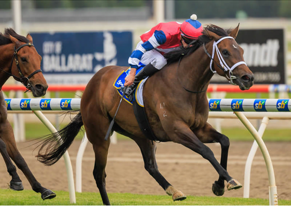 Shystar wins the $250,000 Emerging Stars final - image Grant Courtney