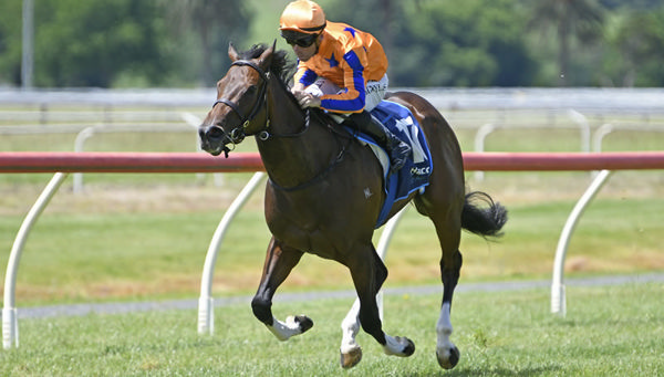 Sibling Rivalry winning at Te Aroha on Tuesday.  Photo: Kenton Wright (Race Images)