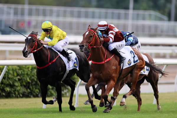 Sight Success defeats Lucky Sweynesse to win G2 Premier Bowl - image HKJC