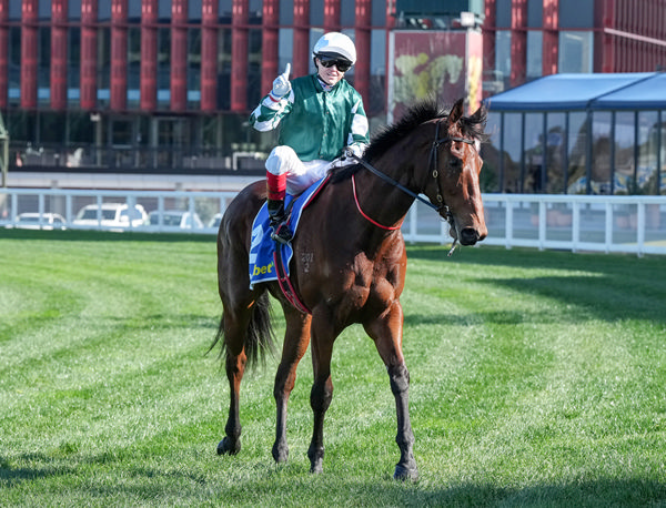Signature Scent - sprinter or miler? - image George Sal/ Racing Photos 