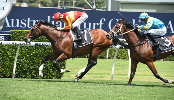 Significance wins the Christmas Cup - image Steve Hart.