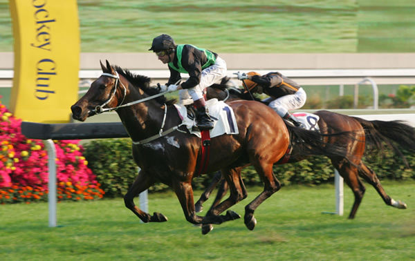 Silent Witness was the fastest horse in the world in from 2003 - 2005 - image HKJC
