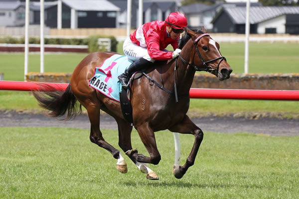Armory filly Silhouette winning on debut at Trentham Photo: Peter Rubery (Race Images PN)