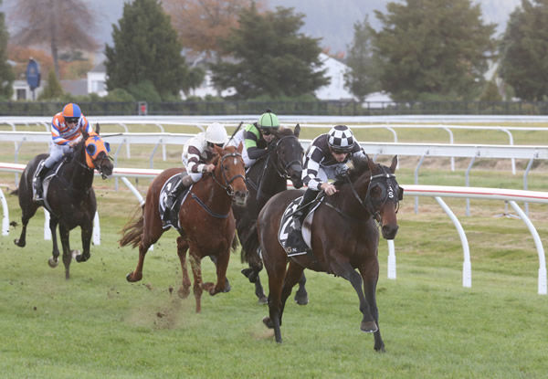 Sinarahma has the situation well under control as she takes out the Gr.3 Campbell Infrastructure Rotorua Cup (2200m) Photo Credit: Trish Dunell