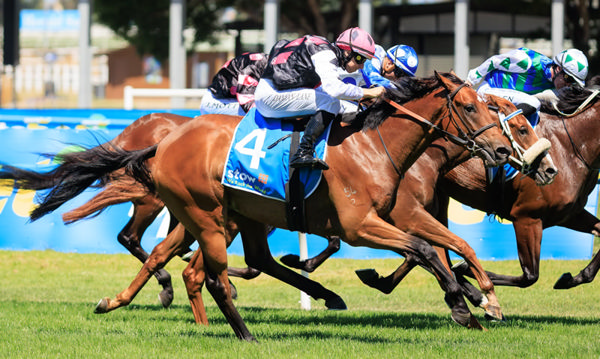 Single Choice wins the G2 Autumn Classic - image Grant Courtney