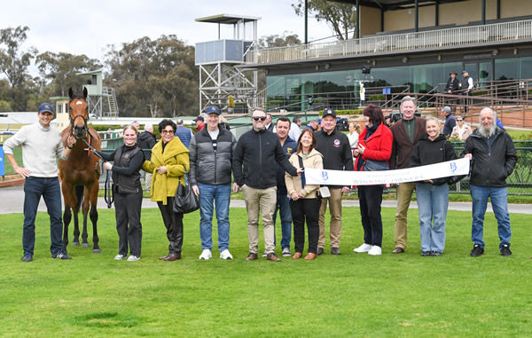Single Choice is making his owners very happy! - image Racing Photos 