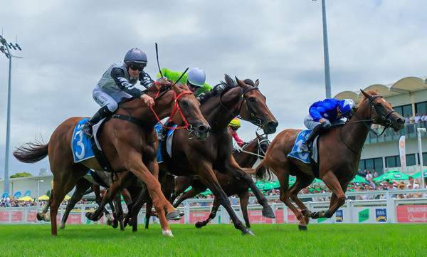 Sir Carter gets up in a three way thriller - image Grant Courtney