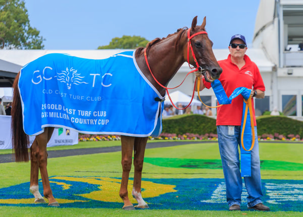 Sir Carter - what a beauty! - image Grant Courtney 