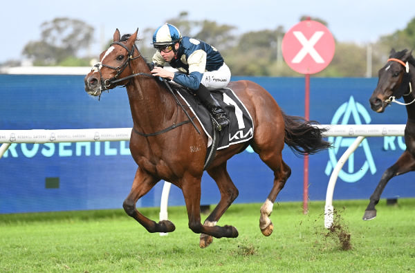 Sir Lucan wins the Listed Winter Cup - image Steve Hart