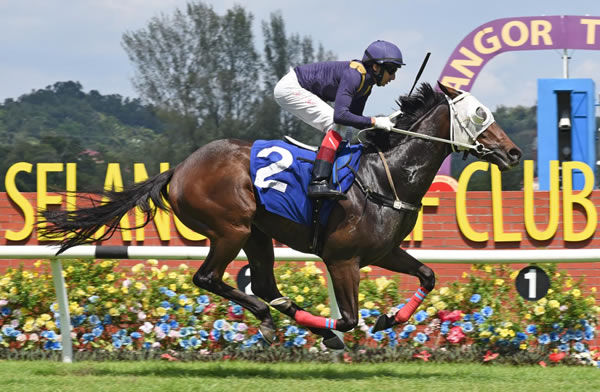 Sir Ruby winning at Selangor Turf Club on Sunday.  Photo: Selangor Turf Club
