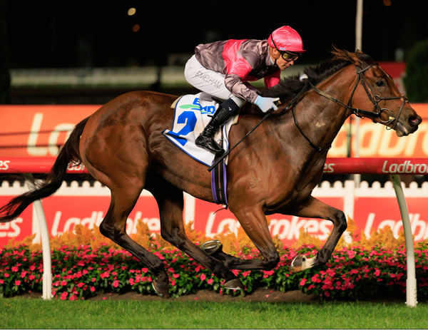 Sirileo Miss wins the G2 Sunline Stakes in a breeze - image Grant Courtney