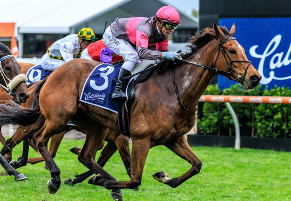 A gutsy win for Sirileo Miss (image Grant Courtney)