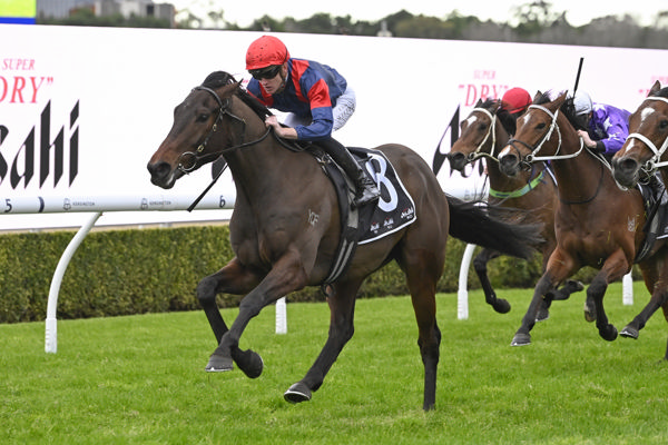 Siriusly Hot rockets home to win at Randwick - image Bradley Photography